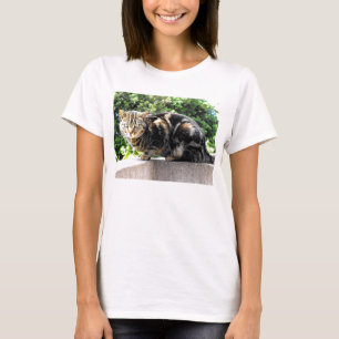 Camiseta Gremlin, el gato del tabby