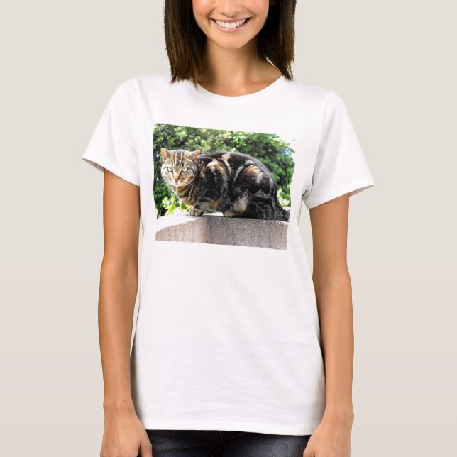 Camiseta Gremlin, el gato del tabby (Anverso)