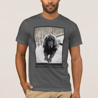 Camiseta gris Bentley