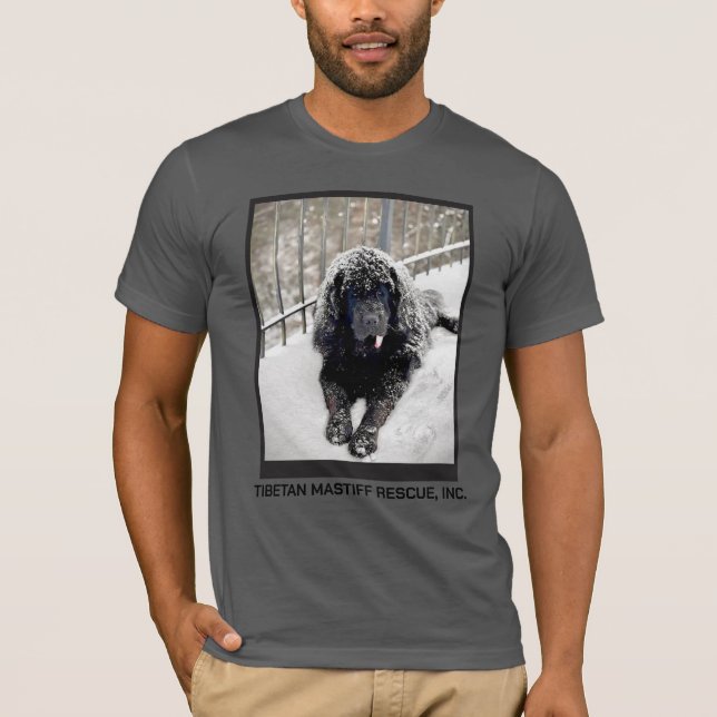 Camiseta gris Bentley (Anverso)