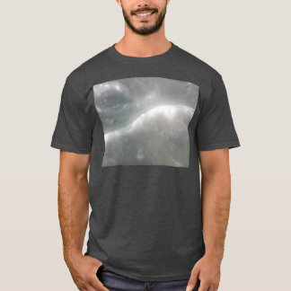 Camiseta Gris Whale Calf Oye 1