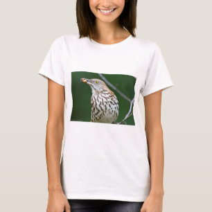 Camiseta Grosera marrón con la ropa de regalo de la captura