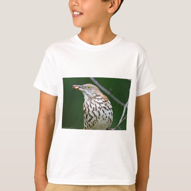 Camiseta Grosera marrón con la ropa de regalo de la captura (Anverso)