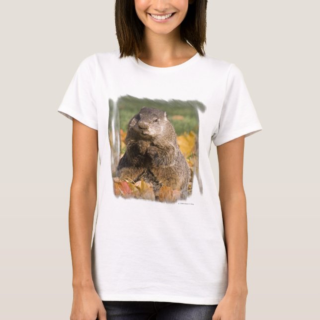 Camiseta Groundhog (Anverso)