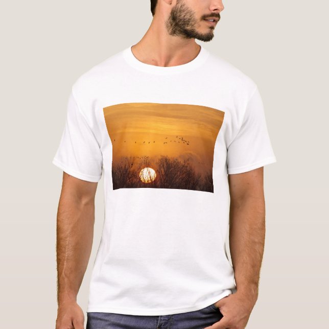 Camiseta Grúas de arenisca en silueta contra el sol nacient (Anverso)