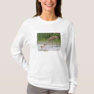Camiseta Grúas de Sandhill del pájaro de la madre y del