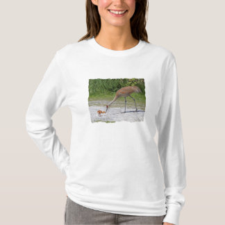 Camiseta Grúas de Sandhill del pájaro de la madre y del