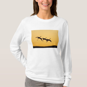 Camiseta Grulla canadiense aterrizando al atardecer