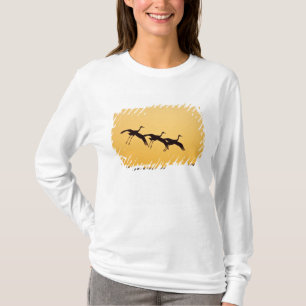 Camiseta Grulla canadiense aterrizando al atardecer