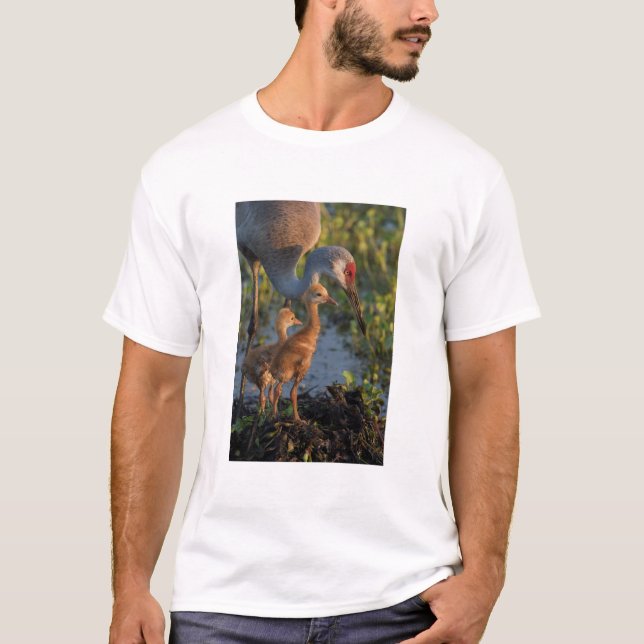 Camiseta Grulla canadiense con crías, Florida (Anverso)
