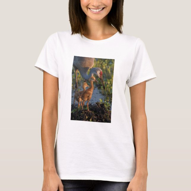 Camiseta Grulla canadiense con crías, Florida (Anverso)