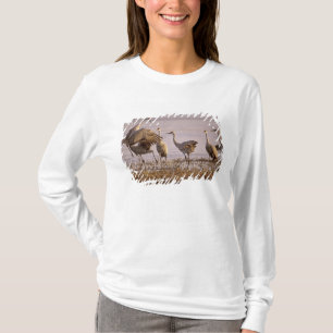 Camiseta Grullas de las dunas Grus canadensis) Platte