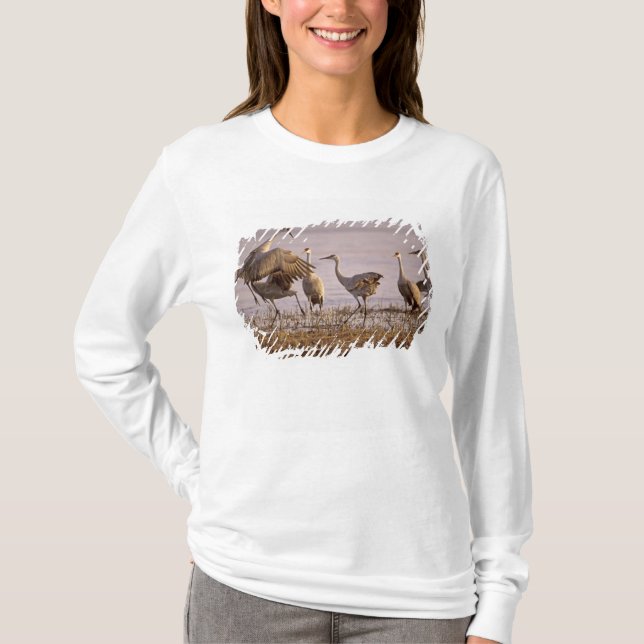 Camiseta Grullas de las dunas Grus canadensis) Platte (Anverso)