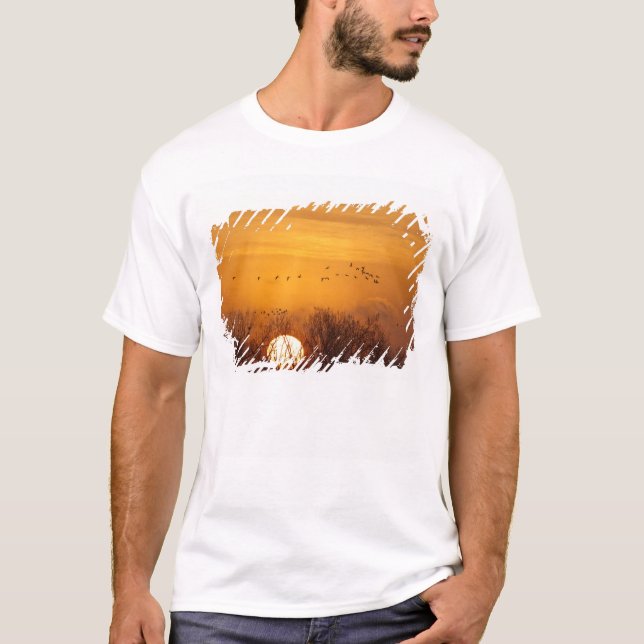 Camiseta Grullas silueteadas contra el sol naciente (Anverso)
