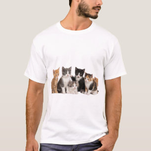 Camiseta Grupo de gatitos lindos y esponjosos Pegatina PNG