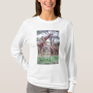 Camiseta Grupo o manada de jirafas con crías, Giraffa