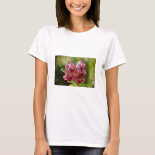 Camiseta Grupo Orquídea Vanda Tropical