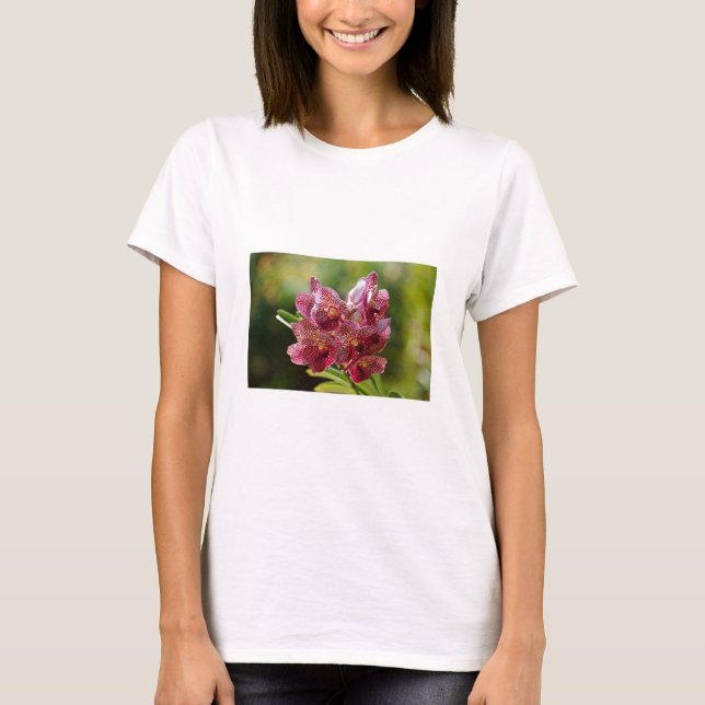 Camiseta Grupo Orquídea Vanda Tropical (Anverso)