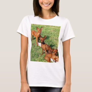 Camiseta grupo rojo de pin min