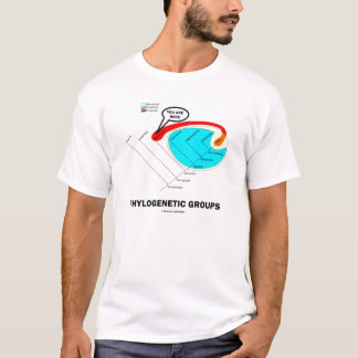 Camiseta Grupos filogenéticos - usted está aquí