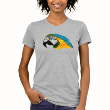 Guacamayo azul y dorado atrevido