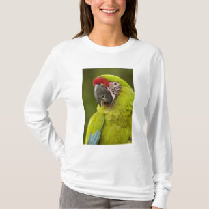 Camiseta Guacamayo Militar
