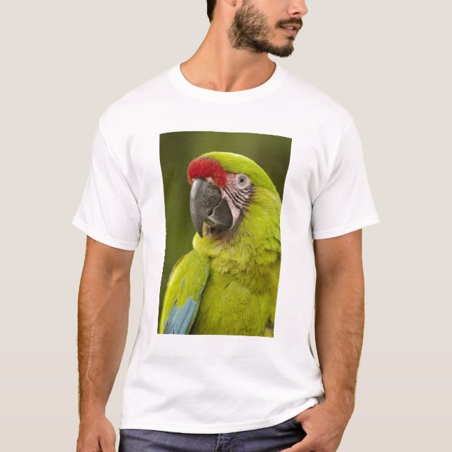 Camiseta Guacamayo Militar (Anverso)