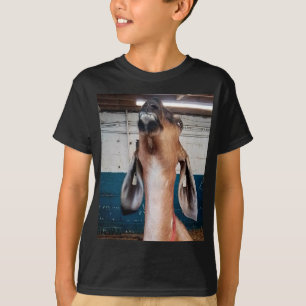 Camiseta Guapo