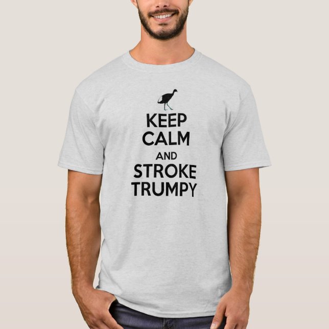 CAMISETA GUARDE TRUMPY TRANQUILO (Anverso)