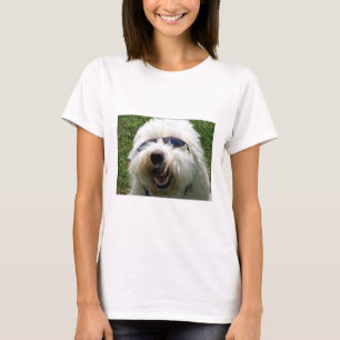 Camiseta Guay Coton de Tulear