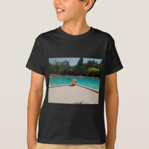 Camiseta Guay Hakuna Matata Pool Side I love My Family.jpg