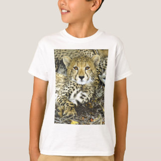 Camiseta Guepardo Cub 2