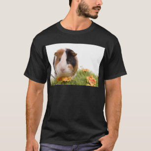 Camiseta Guinea pigs se tiene lawn