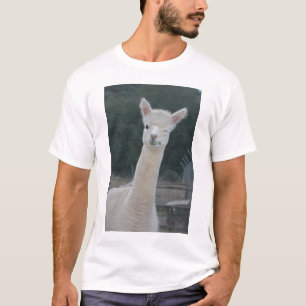 Camiseta Guiño de Rafa