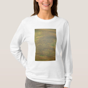 Camiseta Guisantes de lenteja en hileras y esperando cosech