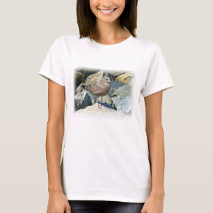 Camiseta Gull Juvenil Grande Con El Fondo Negro