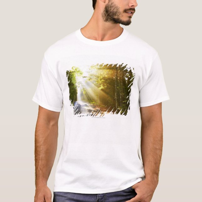 Camiseta Haces de Sun a través del bosque en parque (Anverso)