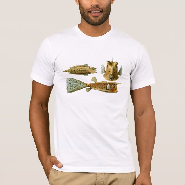 Camiseta Haeckel Fish (Anverso)