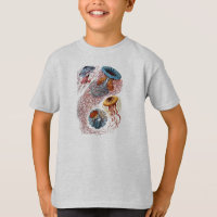 Haeckel Jellyfish Study T-Shirt