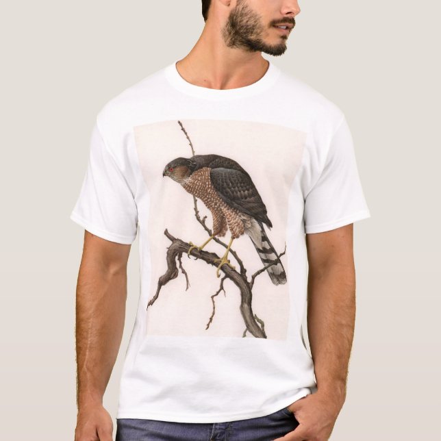Camiseta halcón Agudo-shinned, hembra adulta (Anverso)