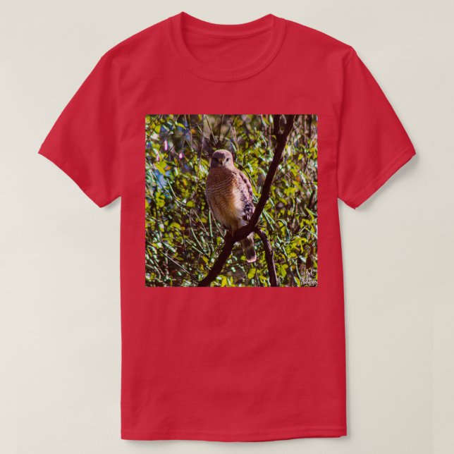 Camiseta Halcón con fotografía rocosa (Diseño del anverso)