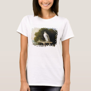 Camiseta Halcón de Groenlandia (halcón gris), 1780 (aceit