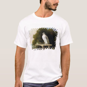 Camiseta Halcón de Groenlandia (halcón gris), 1780 (aceite