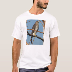 Camiseta Halcón de los toneleros