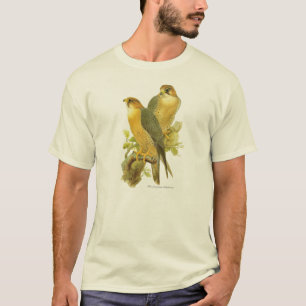 Camiseta Halcón de peregrino (babylonicus del peregrinus d