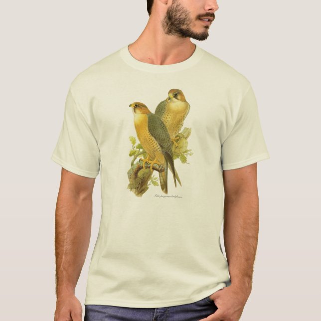 Camiseta Halcón de peregrino (babylonicus del peregrinus de (Anverso)