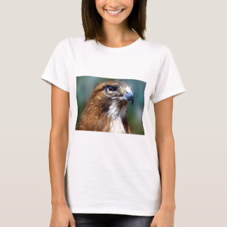 Camiseta Halcón del Redtail