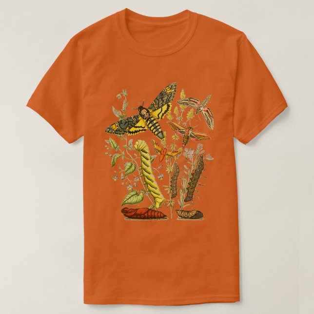 Camiseta Halcón Moth Caterpillar Vintage Entomolog (Diseño del anverso)