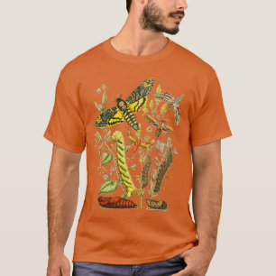 Camiseta Halcón Moth Caterpillar Vintage Entomolog