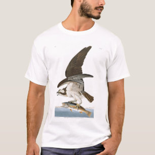 Camiseta Halcón Pescador u Osprey de Audubon